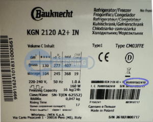 BAUKNECHT Kühlschrank Typenschild KGN2120A2+IN
